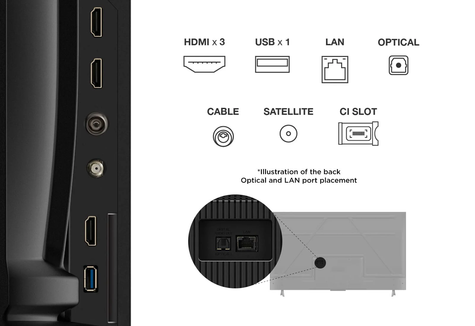 Televisor TCL 55V6C | Google TV | 55" | 4K | HDMI | USB | Wi-Fi | Bluetooth - Image 6